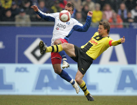 名誉委员虽 名誉委员虽